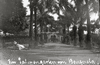 CHN_NEG_HAHN_img_043071_thumb.gif