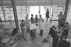 ONR_NEG_LIONS_img_033244_thumb.gif