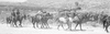 ONR_L-1192-49_img_035982_thumb.gif