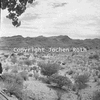 roth_namib_img_035233_thumb.gif