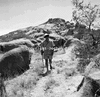 roth_gen_donk_31314_img_001314_thumb.gif