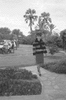 ONR_NEG_LIONS_img_033275_thumb.gif