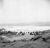 roth_gen_cape_31292_img_001292_thumb.gif