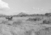 ONR_L-1280-51_30978_img_000978_thumb.gif