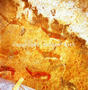 roth_brandberg_img_035191_thumb.gif