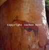 roth_brandberg_img_035194_thumb.gif