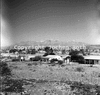 roth_brandberg_img_035392_thumb.gif