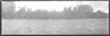 CHN_PAN_31740_img_001740_thumb.gif
