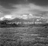 roth_brandberg_img_035394_thumb.gif
