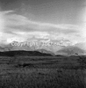 roth_brandberg_img_035395_thumb.gif