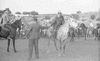 ONR_L-1192-49_img_035967_thumb.gif