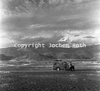 roth_brandberg_img_035397_thumb.gif
