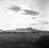 roth_brandberg_img_035399_thumb.gif