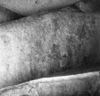 roth_brandberg_img_035492_thumb.gif