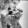 roth_brandberg_img_035493_thumb.gif