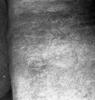 roth_brandberg_img_035495_thumb.gif