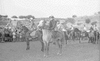 ONR_L-1192-49_img_035968_thumb.gif