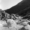 roth_brandberg_img_035498_thumb.gif