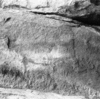 roth_brandberg_img_035499_thumb.gif