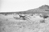 ONR_L-1166-49_30241_img_000241_thumb.gif