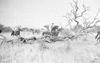 ONR_L-1166-49_30243_img_000243_thumb.gif