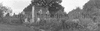 CHN_PAN_31761_img_001761_thumb.gif