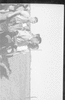 ONR_L-1146-49_30345_img_000345_thumb.gif