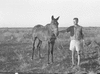 ONR_L-1146-49_30346_img_000346_thumb.gif