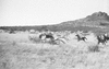 ONR_L-1166-49_30248_img_000248_thumb.gif