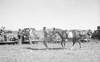 ONR_L-1146-49_30349_img_000349_thumb.gif