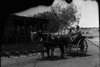 roth_glass_31103_img_001103_thumb.gif