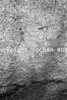 roth_kaoko_img_035316_thumb.gif