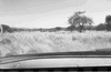 roth_kaoko_img_035336_thumb.gif