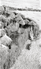 CHN_NEG_HAHN_img_043102_thumb.gif