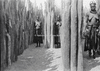 CHN_NEG_HAHN_img_043124_thumb.gif