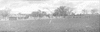 CHN_PAN_31764_img_001764_thumb.gif