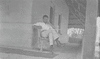 CHN_NEG_HAHN_img_043192_thumb.gif