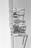 ONR_L-1019-47_31491_img_001491_thumb.gif