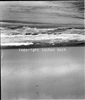 roth_gen_swak_31255_img_001255_thumb.gif