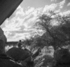 roth_omanduma_img_035468_thumb.gif