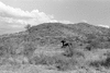 ONR_L-1280-51_31022_img_001022_thumb.gif