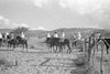 ONR_L-1280-51_31024_img_001024_thumb.gif