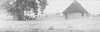 CHN_PAN_31768_img_001768_thumb.gif