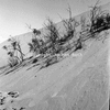 roth_air_swak_31275_img_001275_thumb.gif