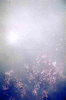 NAN_NEG_VAR_img_040018_thumb.gif