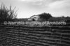 schoedder_neg_nust_omaruru_00101_thumb.png