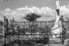 schoedder_neg_nust_karibib_00545_thumb.png