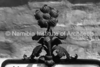schoedder_neg_nust_karibib_00547_thumb.png