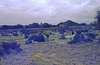 schoedder_nust_warmbad_000332_thumb.png