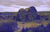 schoedder_nust_warmbad_000333_thumb.png